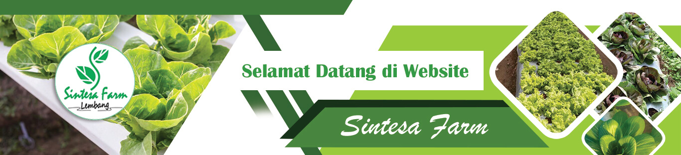 BG_sintesafarm 5(1) BG_sintesafarm 5(1)