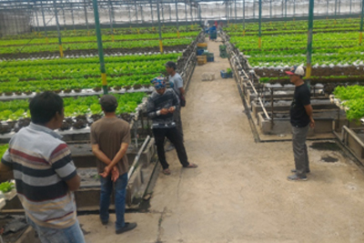 Kunjungan Ke kebun yang sudah menggunakan teknologi