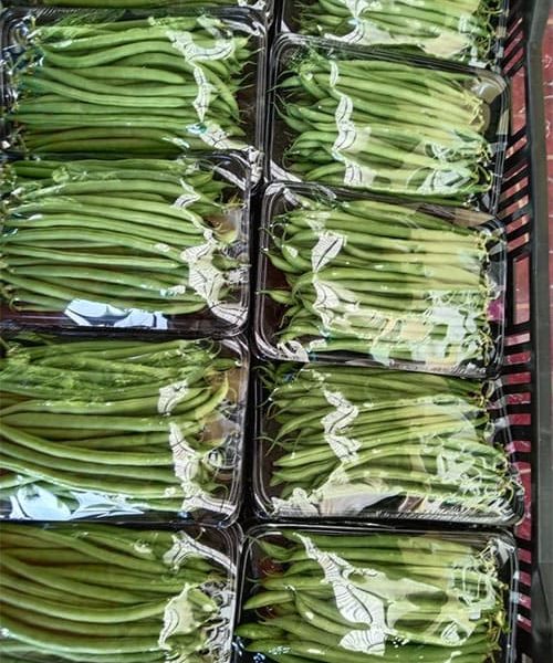 produk-buncis (4)